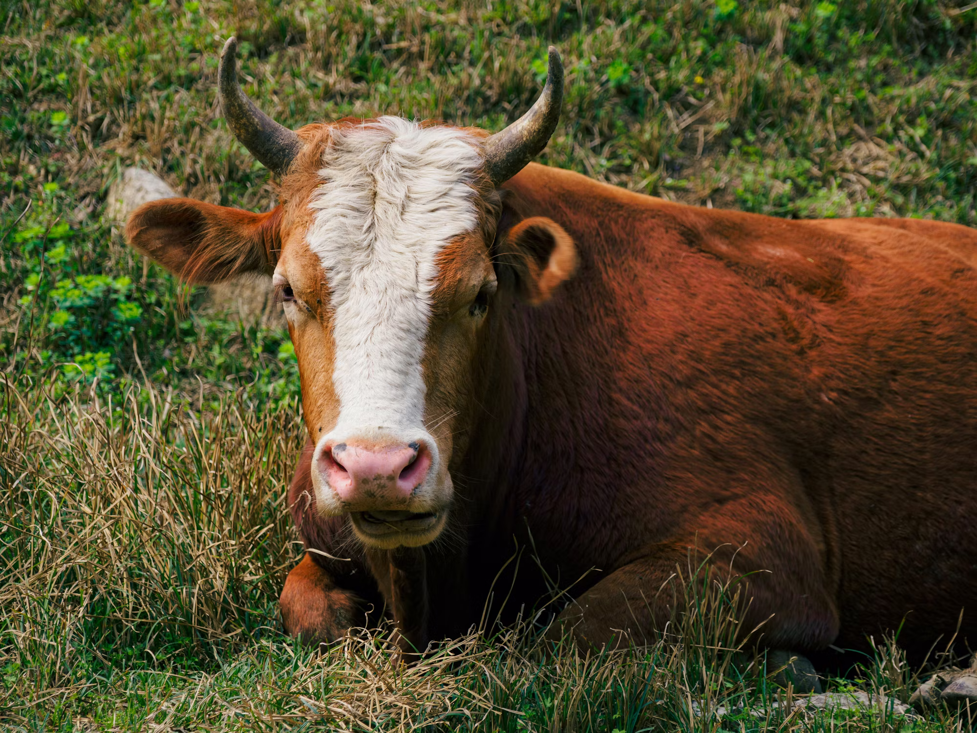 Exploring the World: A Journey Through Different Travel Styles