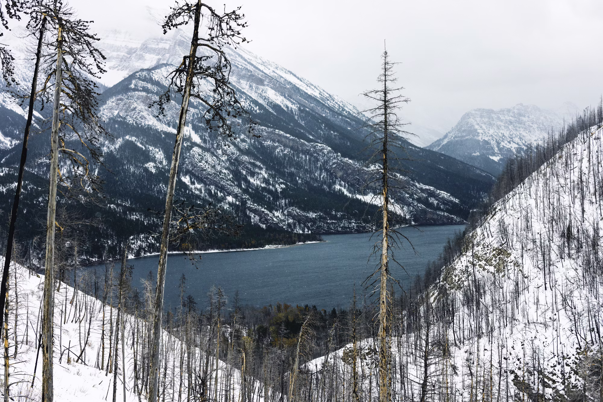 A Family Guide to Camping: Creating Lasting Memories in Nature